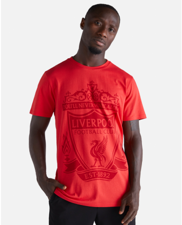 Large Liverpool FC Official Football Gift Mens Graphic T-Shirt 