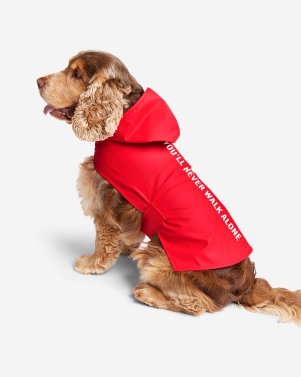 Liverpool fashion dog coat