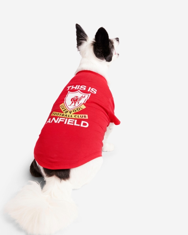 Liverpool fc dog hoodie hotsell