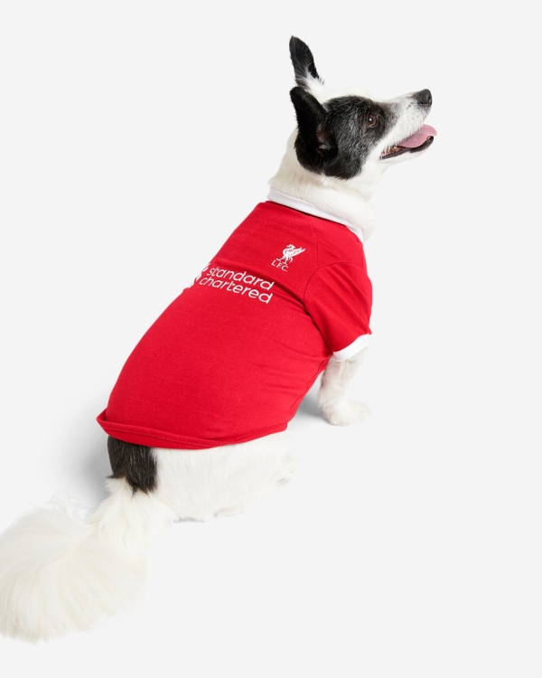 Liverpool dog jersey on sale