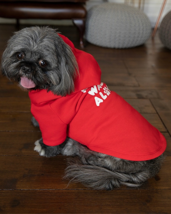 LFC YNWA Dog Hoody