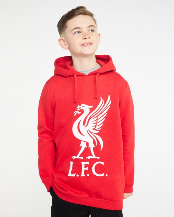 Liverpool hoodie kids sale