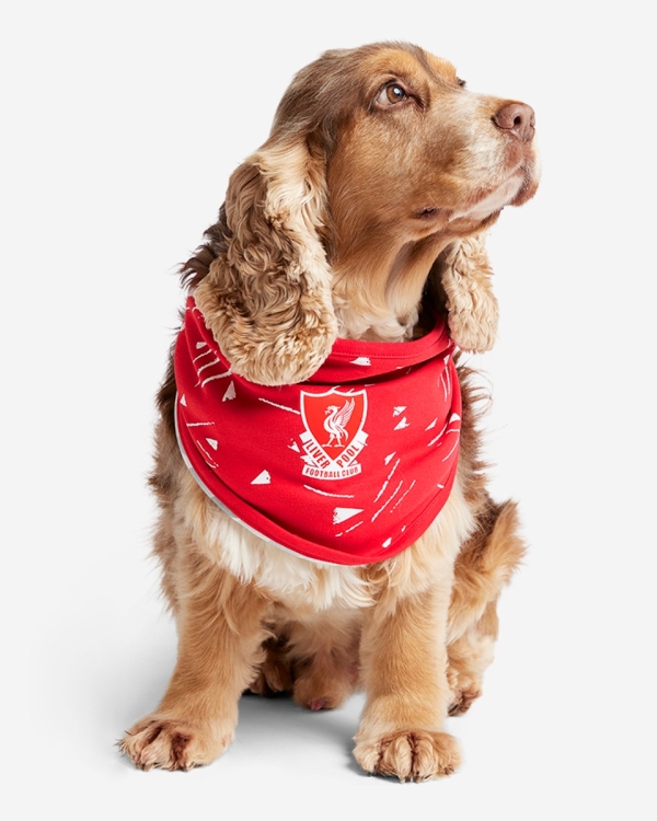 Liverpool dog accessories hotsell