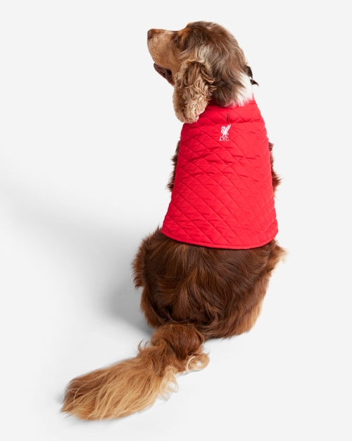 LFC Dog Quilted Jacket