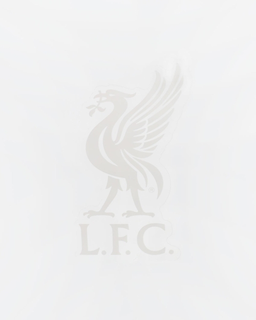 LFC Small Liverbird Car Sticker 