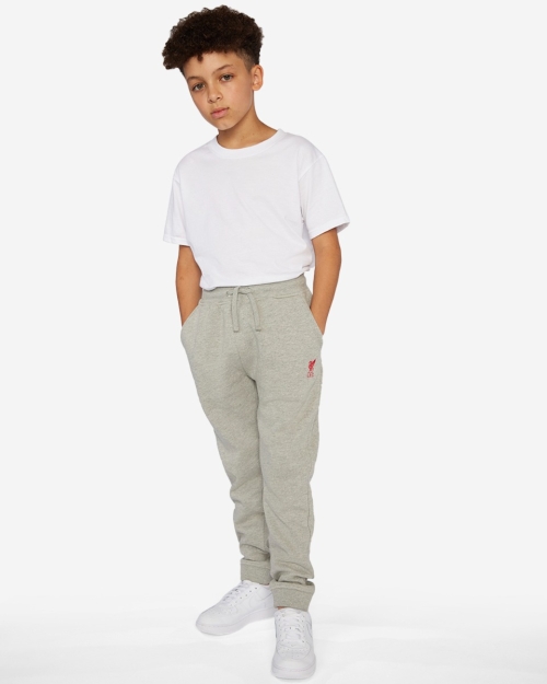 LFC Junior Jogging Pant
