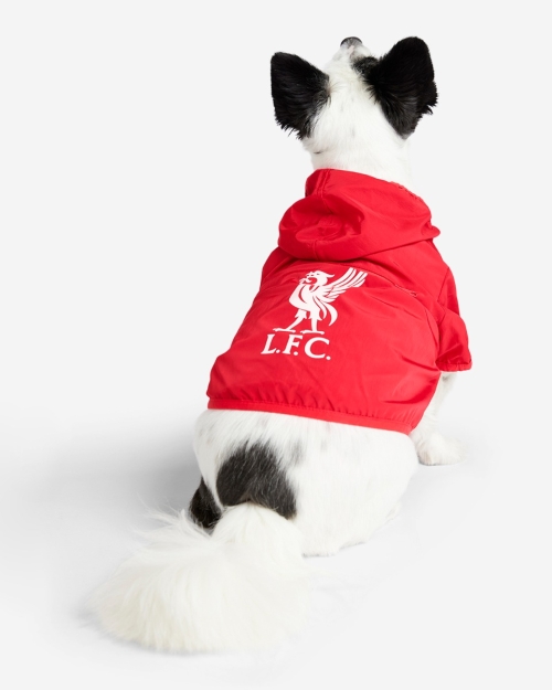 LFC Dog Coat