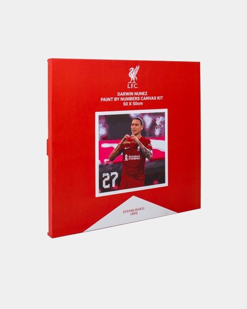 LFC Darwin Nunez Paint By Numbers
