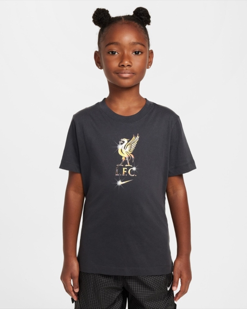 LFC Nike Youth 24/25 Crest Tee Dark Grey