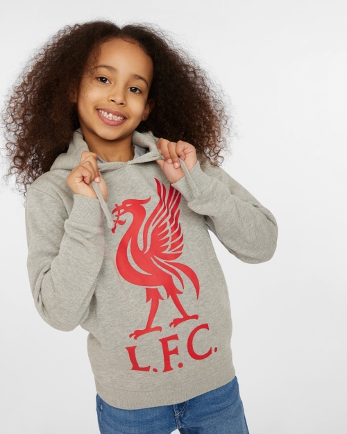 LFC Junior Liverbird Hoody Grey