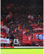 All Red Light Membership Voucher