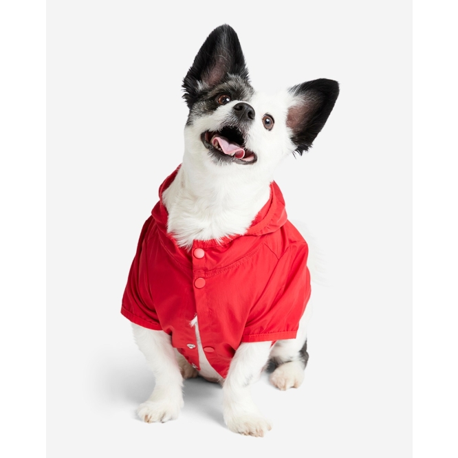 Lfc dog coat sale