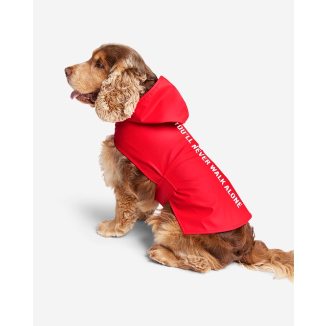 Liverpool dog coat medium hotsell