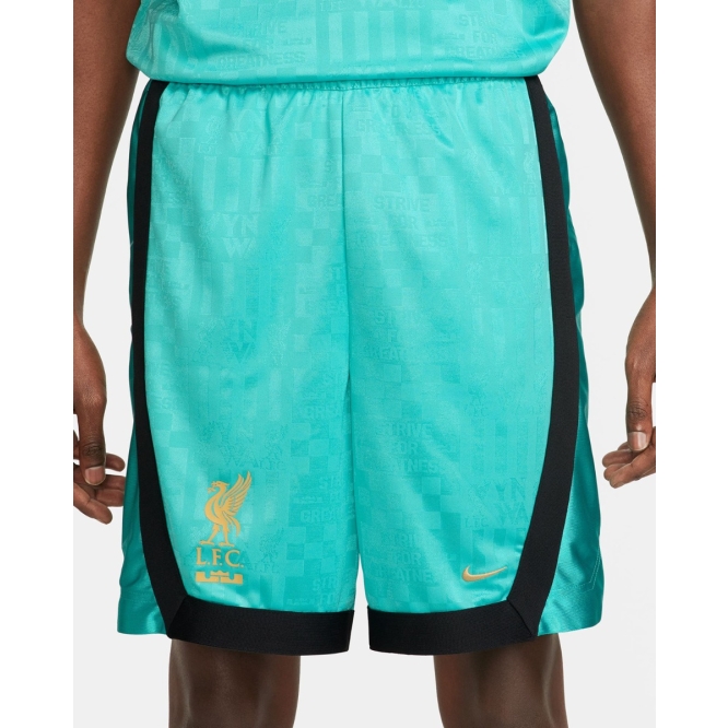 Boys lebron shorts top