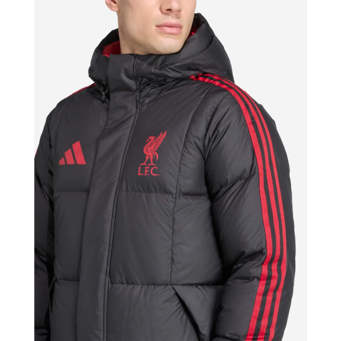 ウェア adidas Liverpool FC LFC AW JKT XL adidas Liverpool FC ADIDAS Z.N.E. Anthem Jacket