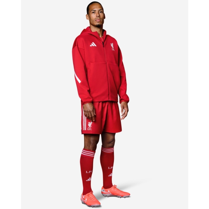 LFC adidas Mens 25/26 Home Anthem Jacket