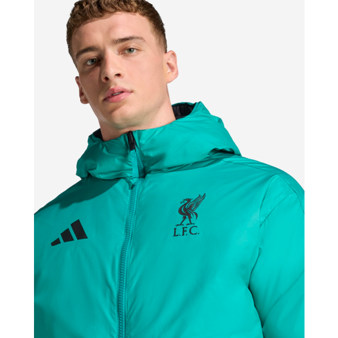 LFC adidas Mens 25/26 Reversible Down Jacket Green