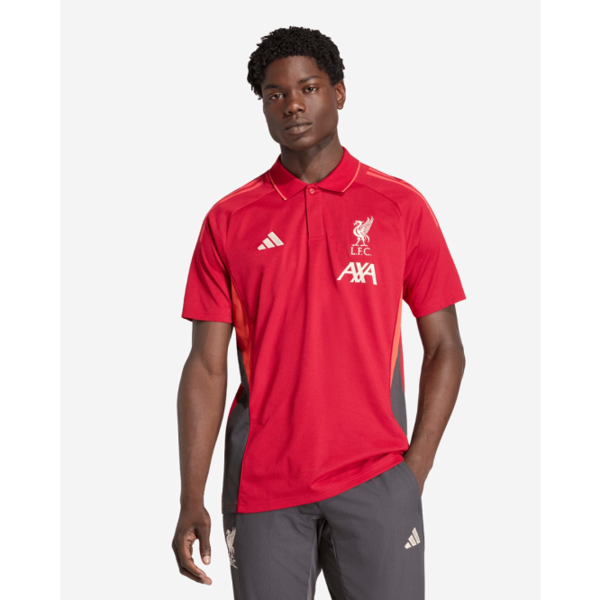 LFC Adidas 남성용 25/26 트레이닝 폴로 레드