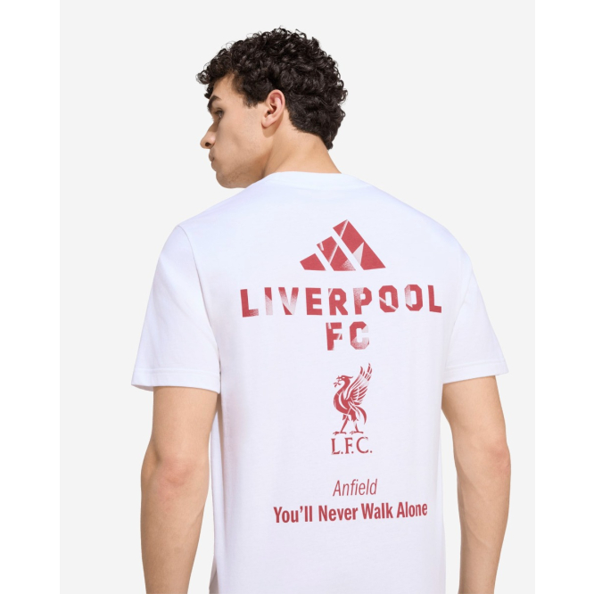 LFC adidas Mens 26/27 Stadium Graphic Tee White