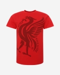 Camiseta LFC Hombre Roja YNWA Liverbird