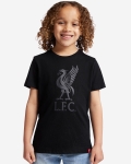 LFC Junior Liverbird Schwarz T-Shirt