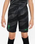 LFC Nike Youth 23/24 Black Goalkeeper Stadium Shorts