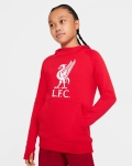 LFC Nike Junior Red Fleece Hoodie 