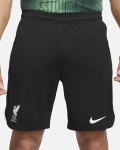 LFC Nike Mens 23/24 Away Stadium Shorts