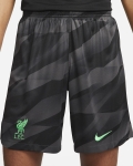 LFC Nike Mens 23/24 Black Goalkeeper Stadium Shorts