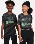 Camiseta de portero LFC Nike Stadium 23/24 Negra para Niños