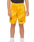 LFC Nike Youth 23/24 Orange Goalkeeper Stadium Shorts