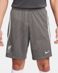LFC Nike Mens 23/24 Strike Training Shorts Grey