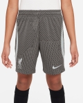 LFC Nike Youth 23/24 Strike Training Shorts Grey
