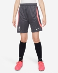 LFC Nike Youth 23/24 Strike Shorts Grey