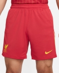 Shorts de primera equipación LFC Nike Stadium 24/25 para hombres