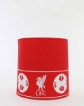 LFC Ceiling Light 