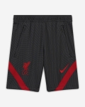LFC Nike Junior Dark Grey Training Shorts 