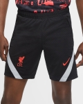 LFC Nike Mens Black Training Shorts