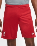 LFC Nike Mens Home Stadium Shorts 20/21