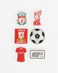 LFC 6 Pack Erasers