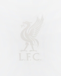 LFC Small Liverbird Car Sticker 