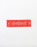 LFC Mini Car Scarf
