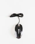LFC Mouse