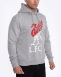 LFC Mens Grey Marl Liverbird Hoody