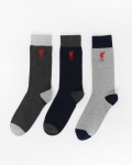 LFC Mens Liverbird 3 Pack Core Socks