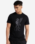 LFC Adults Liverbird Black Tee