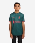 LFC Nike Kids Third Stadium Jersey 22/23