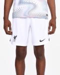 LFC Nike Mens Away Stadium Short 22/23