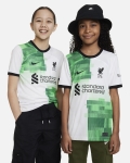 LFC Nike Youth 23/24 Away Stadium Jersey