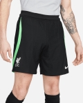 LFC Nike Mens 23/24 Elite Training Shorts
